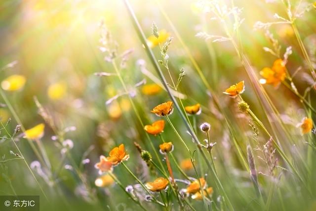 記住這11忠告，下半年你的生活將會越來越順！ 再忙都應該看一看！