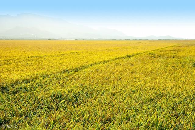 記住這11忠告，下半年你的生活將會越來越順！ 再忙都應該看一看！