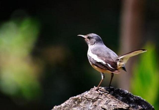 把善良，留給最懂你的人