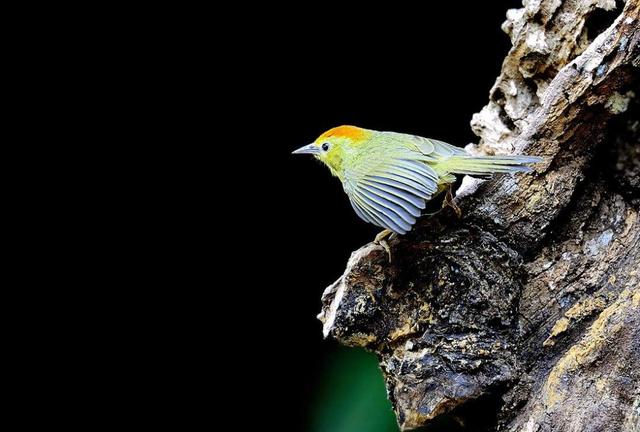 把善良，留給最懂你的人