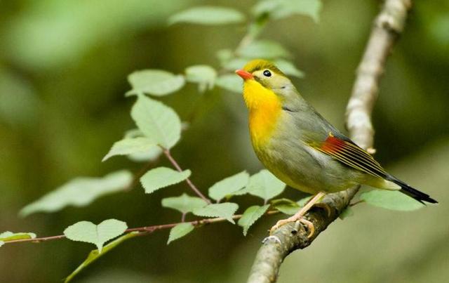 把善良，留給最懂你的人