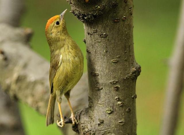 把善良，留給最懂你的人