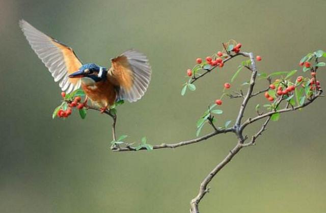 把善良，留給最懂你的人