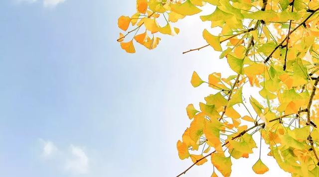 暖過你的人，一輩子都別忘！