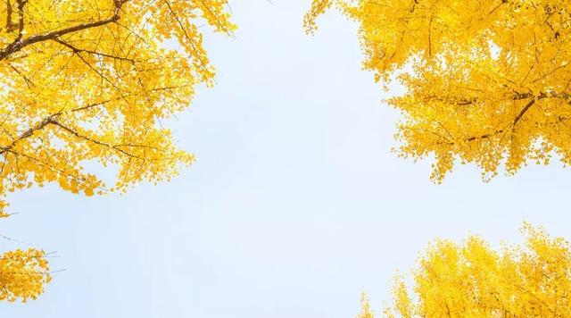 暖過你的人，一輩子都別忘！