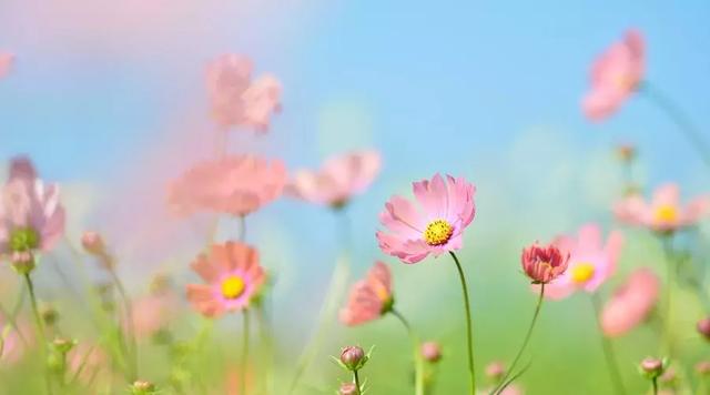 其實，誰都有撐不住的時候