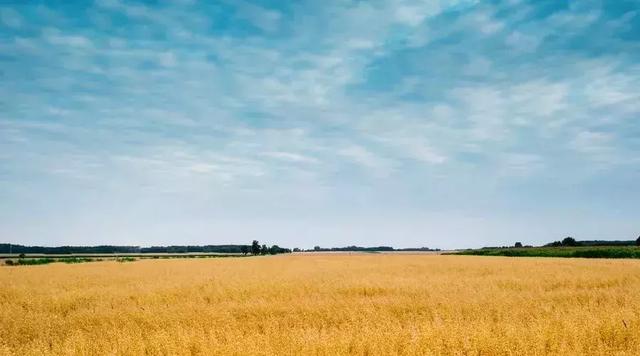 其實，誰都有撐不住的時候