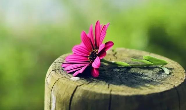 當你倒霉落魄時，記住這些話