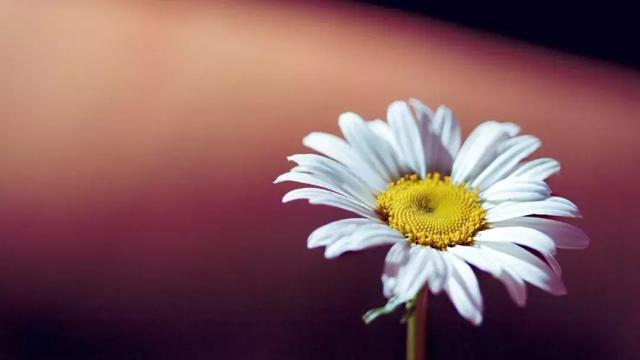 當你倒霉落魄時，記住這些話