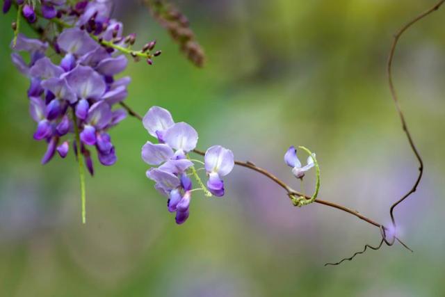 吃過苦的人，往往不愛說話
