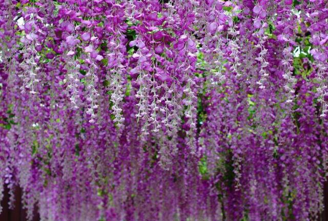 吃過苦的人，往往不愛說話