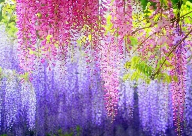 吃過苦的人，往往不愛說話