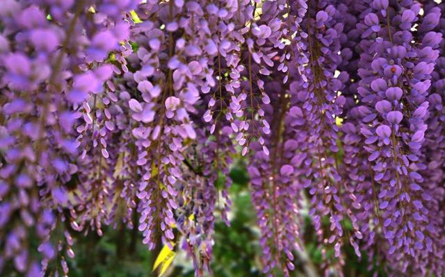 吃過苦的人，往往不愛說話