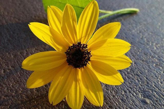 做人，千萬不要小看那個很“獨”的人