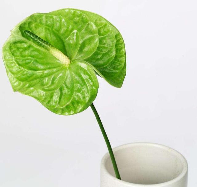 做人,千萬不要小看那個很“獨”的人