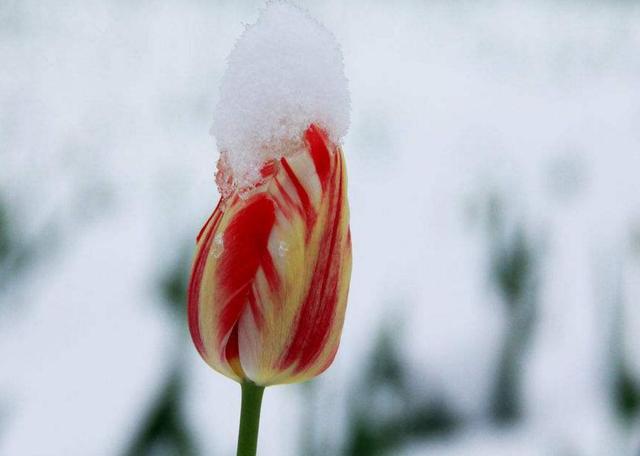 做人苦不苦，自己最清楚