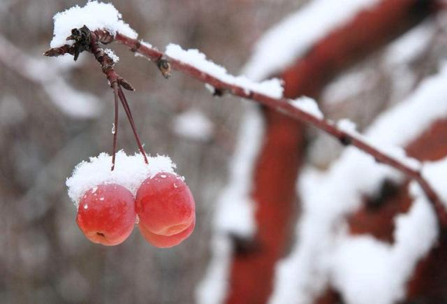 做人苦不苦，自己最清楚