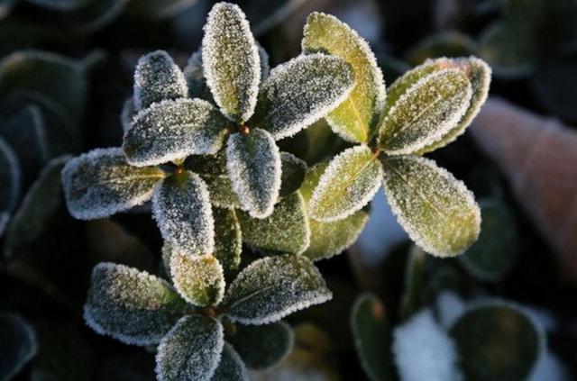 做人苦不苦，自己最清楚