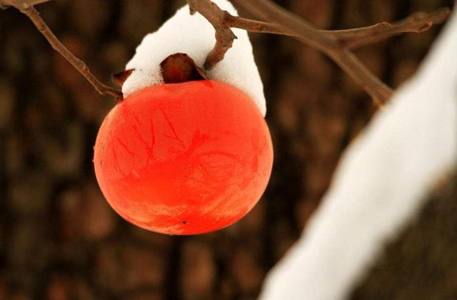 做人苦不苦，自己最清楚