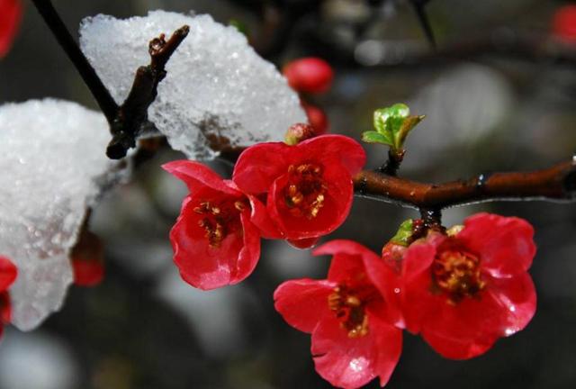 做人苦不苦，自己最清楚