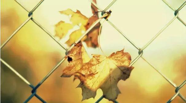 人生一世，最怕什麼？ 再忙，再有錢，也要看看！