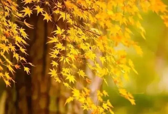 人窮莫交友，落難別尋親（句句戳中人心）