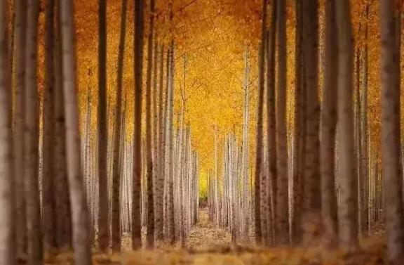 人窮莫交友，落難別尋親（句句戳中人心）