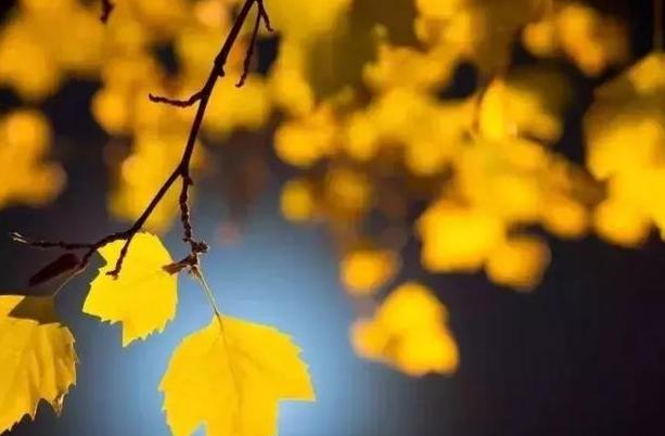 人窮莫交友，落難別尋親（句句戳中人心）