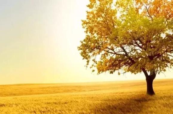 人窮莫交友，落難別尋親（句句戳中人心）