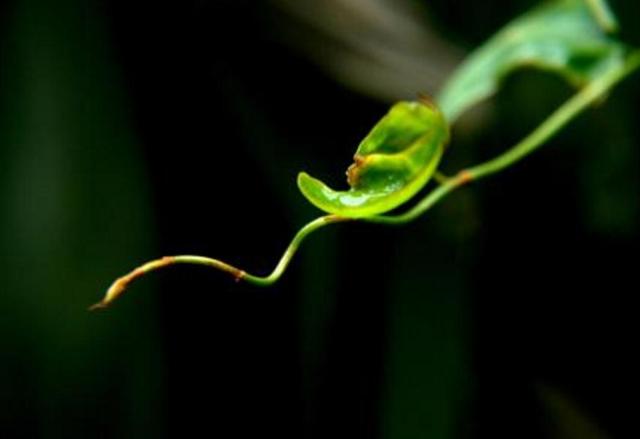 說不出口的痛，才是真正的心痛