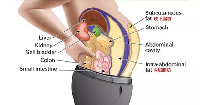 減掉這塊肉，才叫真顯瘦！