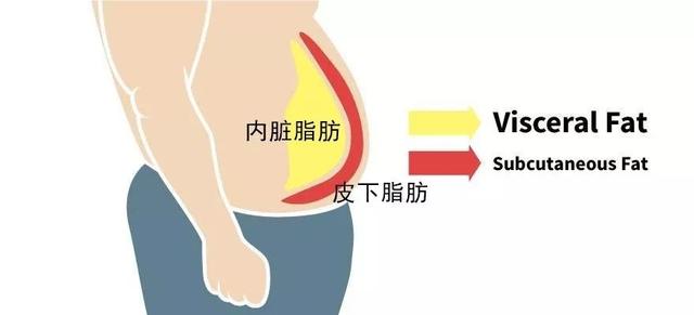 減掉這塊肉，才叫真顯瘦！