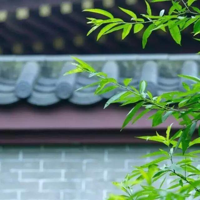 留一份安靜給自己