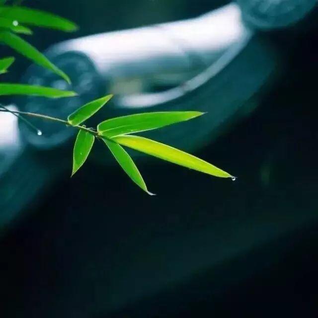 留一份安靜給自己