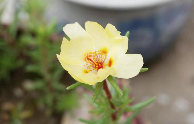 一個人在最難的時候,要懂得“傻”一點