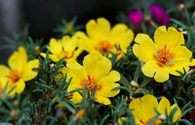 一個人在最難的時候，要懂得“傻”一點