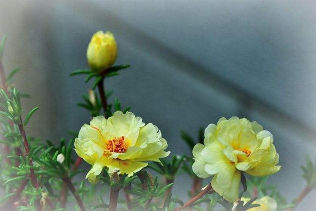 一個人在最難的時候，要懂得“傻”一點