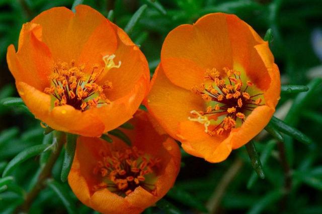 一個人在最難的時候，要懂得“傻”一點