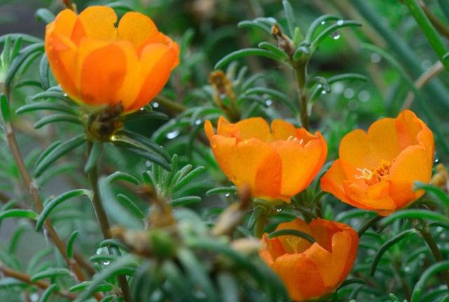 一個人在最難的時候，要懂得“傻”一點