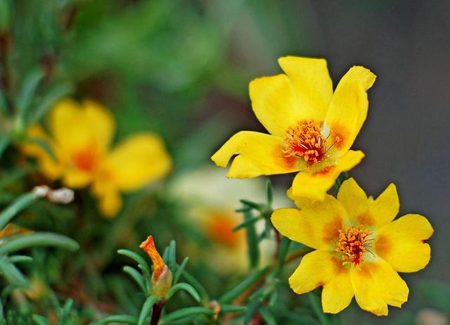 一個人在最難的時候，要懂得“傻”一點