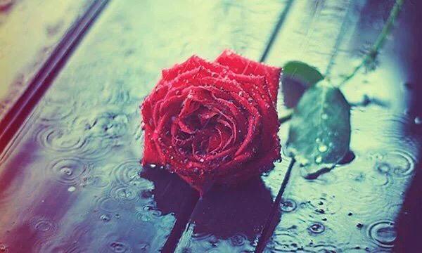 做人,別太重情重義