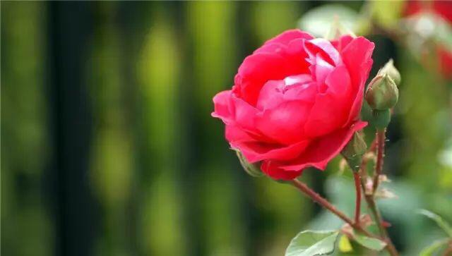 做人,別太重情重義