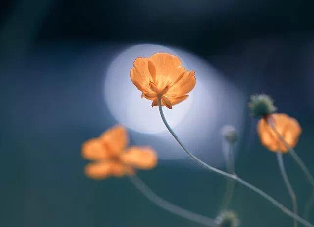 人活一輩子，真情最可貴