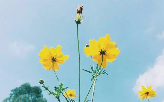 人活一輩子，真情最可貴