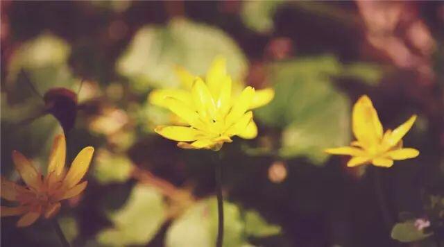 人活一輩子，真情最可貴