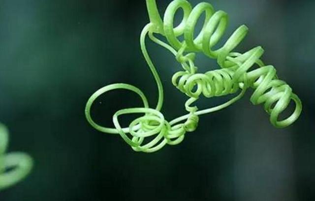 如果你累了，請記得拐個彎再走