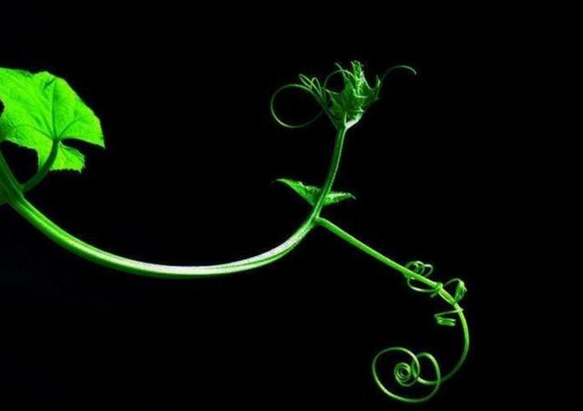 如果你累了，請記得拐個彎再走