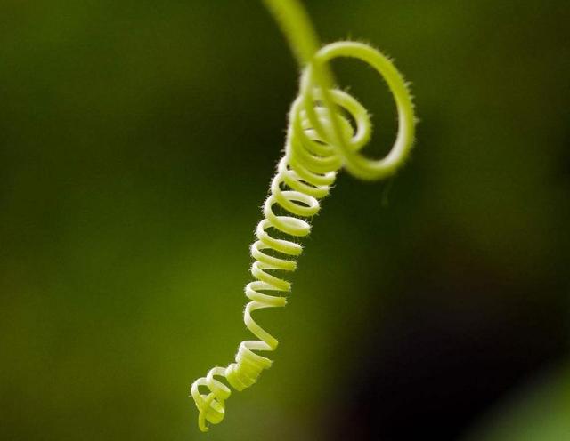 如果你累了，請記得拐個彎再走