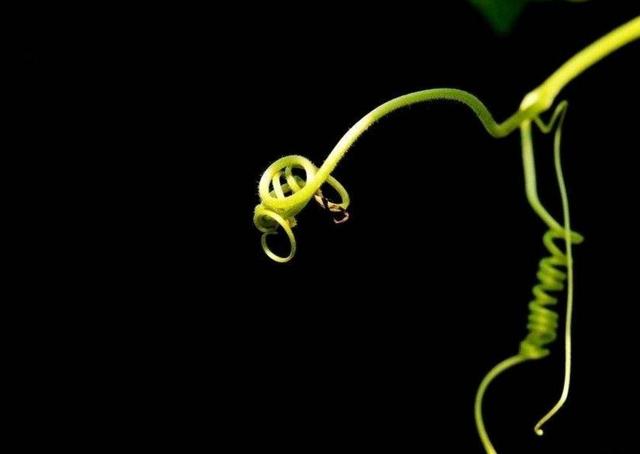 如果你累了，請記得拐個彎再走