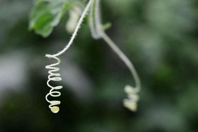 如果你累了，請記得拐個彎再走